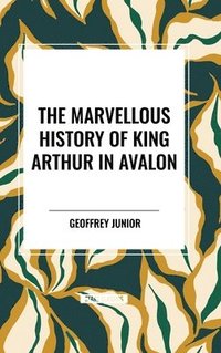 bokomslag The Marvellous History of King Arthur in Avalon