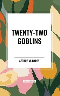 bokomslag Twenty-Two Goblins