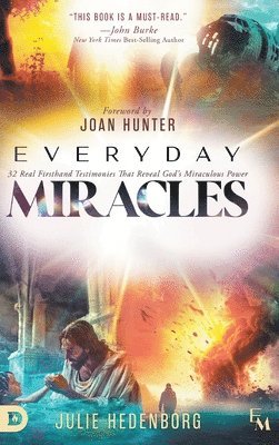 Julie Hedenborg - Everyday Miracles, Inbunden