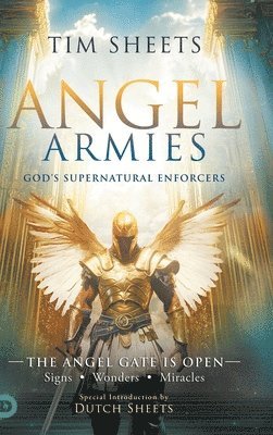 Tim Sheets - Angel Armies, Inbunden