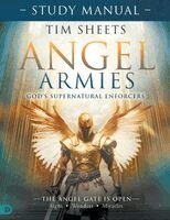 Tim Sheets - Angel Armies, Häftad
