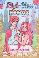 bokomslag High-Class Homos
