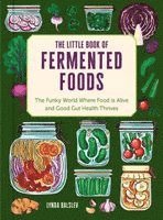 Lynda Balslev - Little Book of Fermented Foods, Inbunden