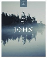 bokomslag The Gospel of John (Kjv)