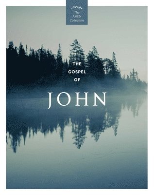 Gospel of John (KJV)