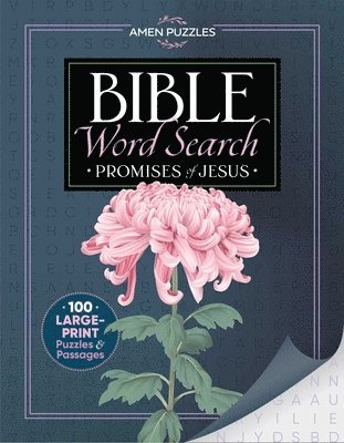 Amen Puzzles Bible Word Search: Promises of Jesus