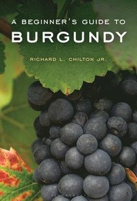 bokomslag A Beginner's Guide to Burgundy
