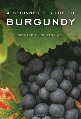 bokomslag A Beginner's Guide to Burgundy