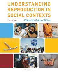 bokomslag Understanding Reproduction in Social Contexts