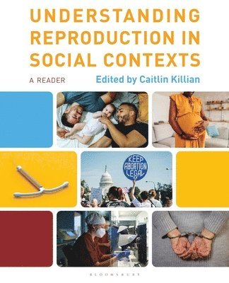 bokomslag Understanding Reproduction in Social Contexts