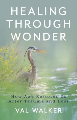 Val Walker - Healing Through Wonder, Inbunden