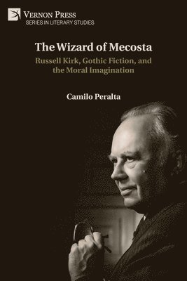 bokomslag Wizard of Mecosta