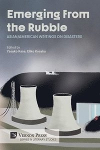 bokomslag Emerging from the Rubble: Asian/American Writings on Disasters