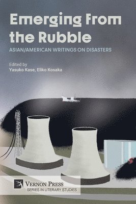 bokomslag Emerging from the Rubble: Asian/American Writings on Disasters