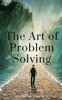 bokomslag Art of Problem Solving