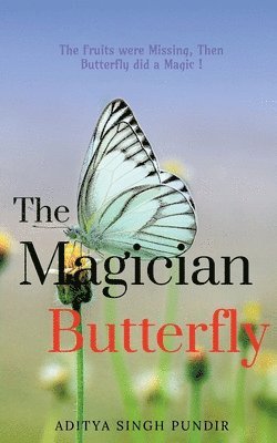 The Magician Butterfly 1