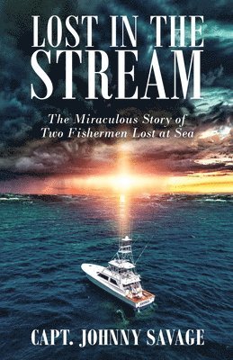 Lost in the Stream 1