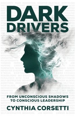 bokomslag Dark Drivers