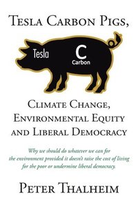 bokomslag Climate Change, Environmental Equity and Liberal Democracy