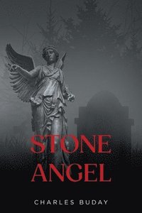 bokomslag Stone Angel