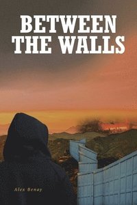 bokomslag Between the Walls