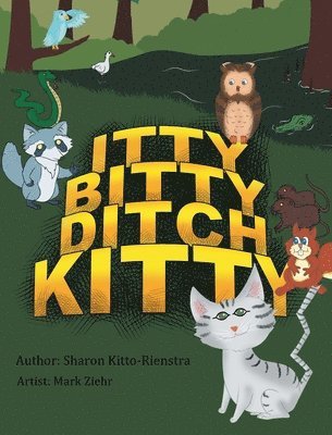 Itty Bitty Ditch Kitty 1