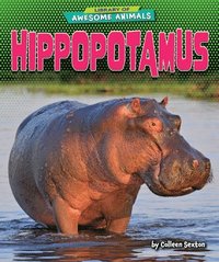 bokomslag Hippopotamus