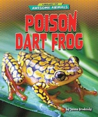 Poison Dart Frog 1