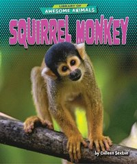 bokomslag Squirrel Monkey