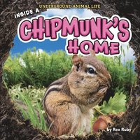 bokomslag Ruby, R: Inside a Chipmunk's Home
