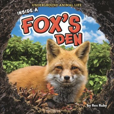 bokomslag Ruby, R: Inside a Fox's Den