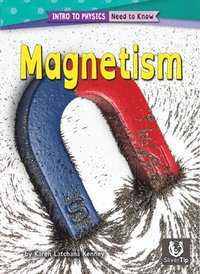 bokomslag Magnetism