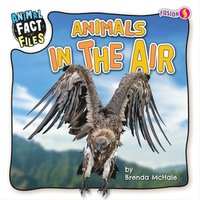 bokomslag McHale, B: ANIMALS IN THE AIR