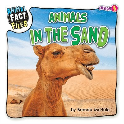 Animals in the Sand 1