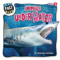 bokomslag McHale, B: ANIMALS UNDER WATER