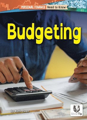 bokomslag Budgeting