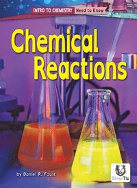 bokomslag Chemical Reactions