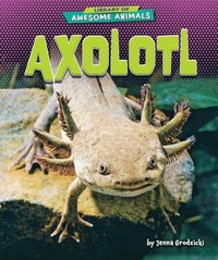 bokomslag Axolotl