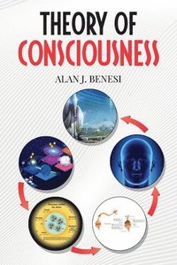 bokomslag Theory of Consciousness