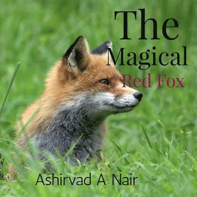 The Magical Red Fox 1