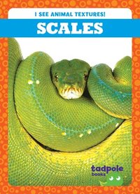 bokomslag Scales