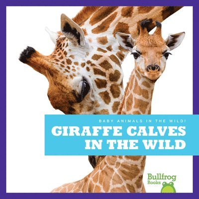 Giraffe Calves in the Wild 1