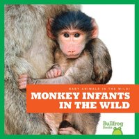 bokomslag Monkey Infants in the Wild