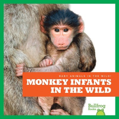 Monkey Infants in the Wild 1