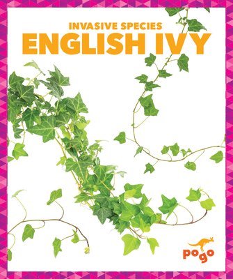 English Ivy 1