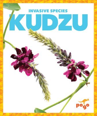 bokomslag Kudzu