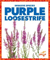 bokomslag Purple Loosestrife