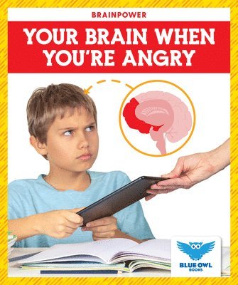 Your Brain When You're Angry 1