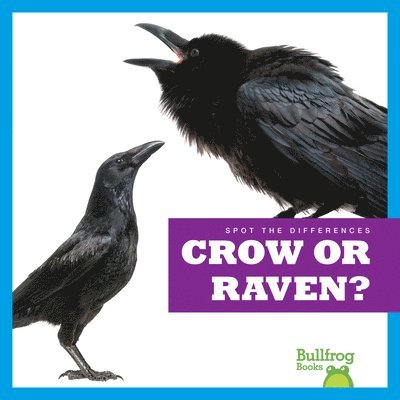 Crow or Raven? 1