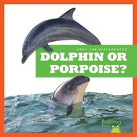 bokomslag Dolphin or Porpoise?